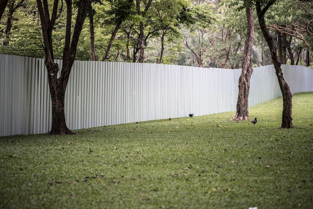 Service name