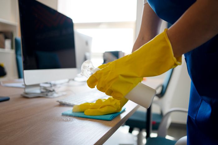 Professional Cleaning