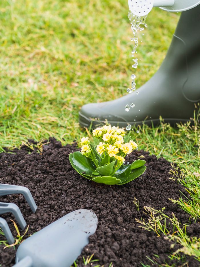 Landscaping & Irrigation