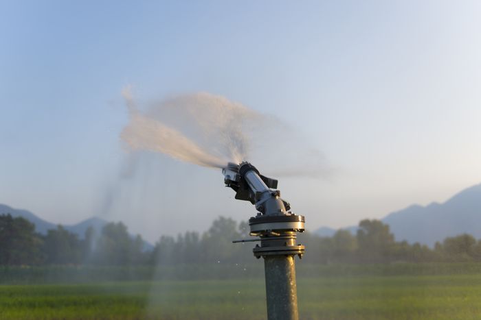 Sprinkler System Installation