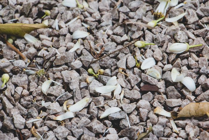 Mulch & River Rock Installation