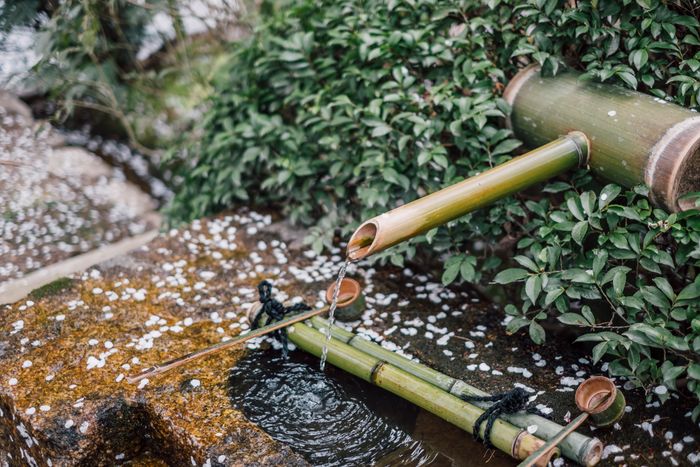 Drainage Solutions