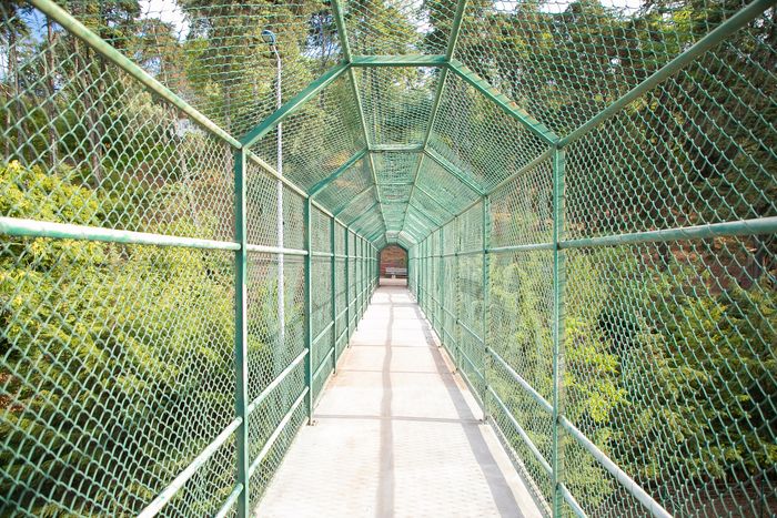 Commercial Fencing