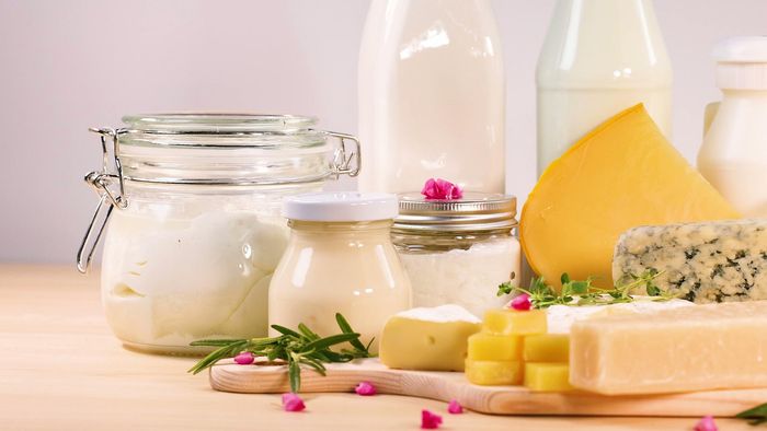 Fresh Dairy Products