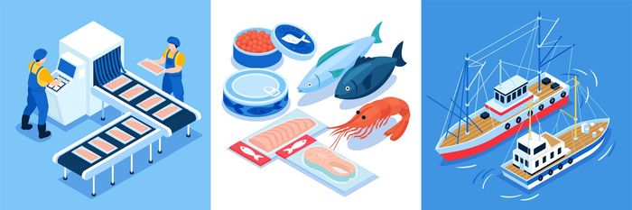 Seafood Import & Distribution