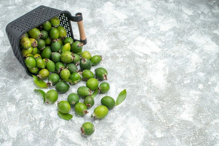 Green Limes Distribution